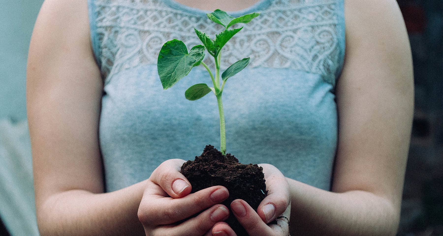 nikola-jovanovic-OBok3F8buKY-unsplash