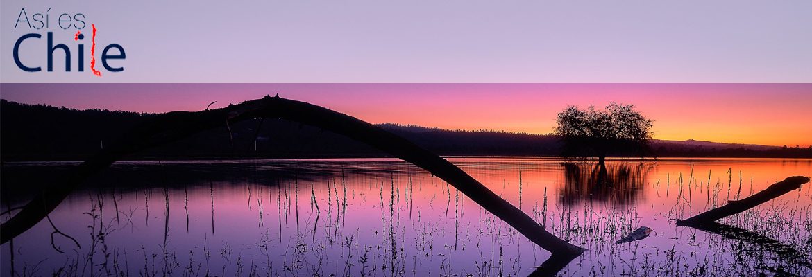 cropped-BANNER-SUNSET-SRjpg.jpg